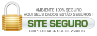 PLATINUM Consultoria esse site é SEGURO